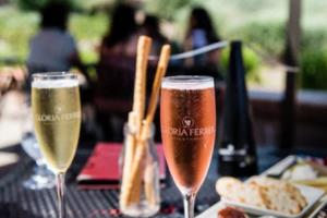 2026年世界杯，卡塔尔的申办与未来展望世界杯2026是哪个国家举办